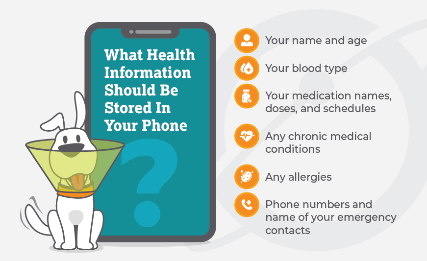 Inforgraphic: What health information should be stored in your phone? 1. Your name and age; 2. your blood type; 3. your medication names, doses, and schedules; 4. any chronic medical conditions; 5. any allergies; 6. phone numbers and name of your emergency contacts